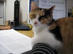 090509.jpg
